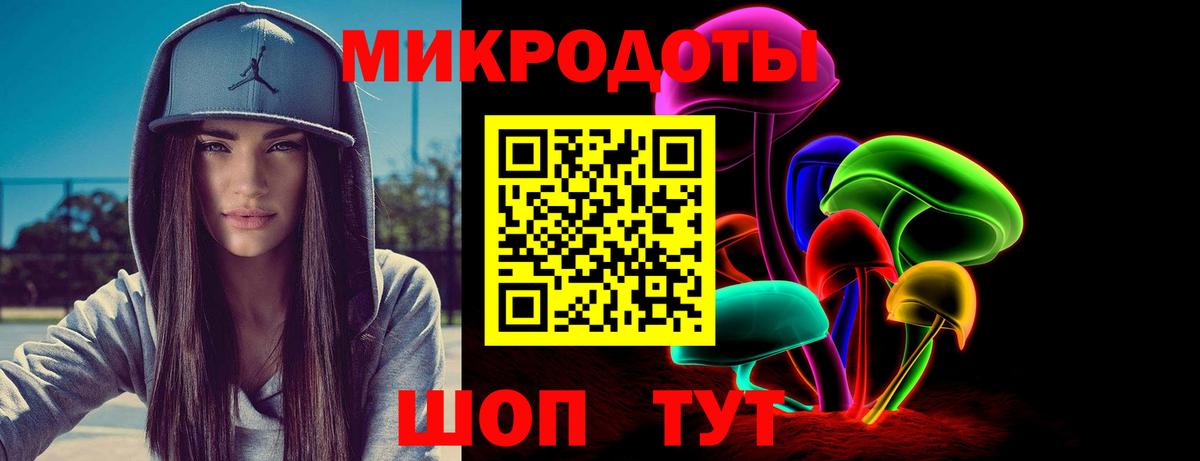 Галлюциногенные грибы Psilocybe Междуреченск